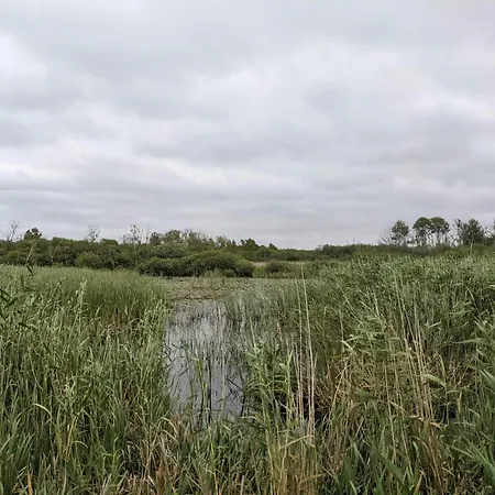 別荘 6 Person In *