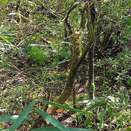 6 Person In * Bredebro