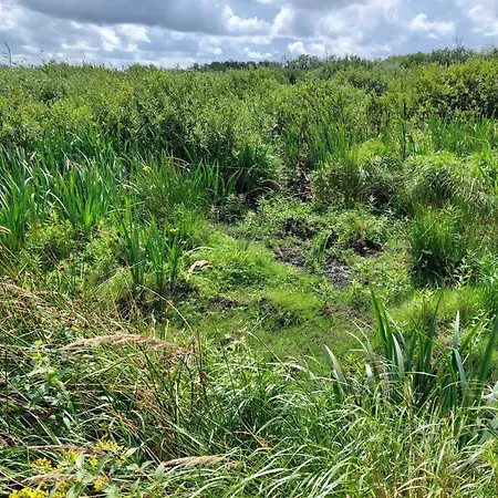 6 Person In Bredebro