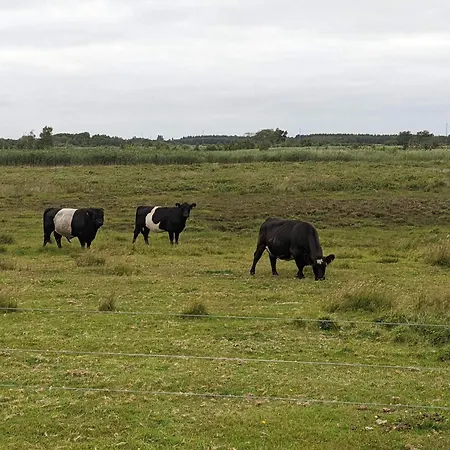 別荘 6 Person In Bredebro