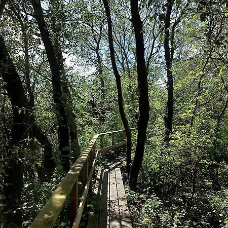 6 Person In Bredebro