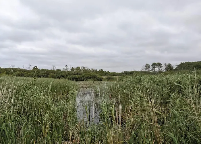 Дом отдыха 6 Person In *