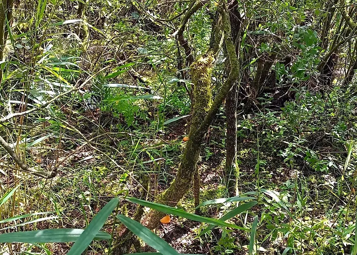 6 Person In * Bredebro