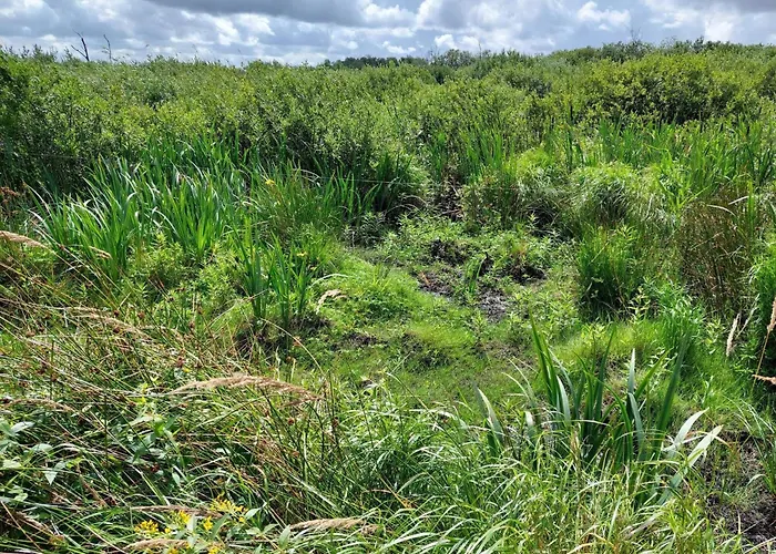 6 Person In Bredebro