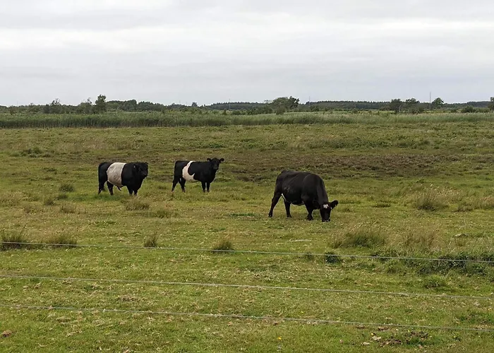 Дом отдыха 6 Person In Bredebro
