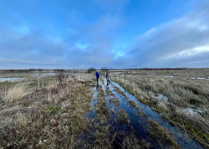 6 Person In Дом отдыха *