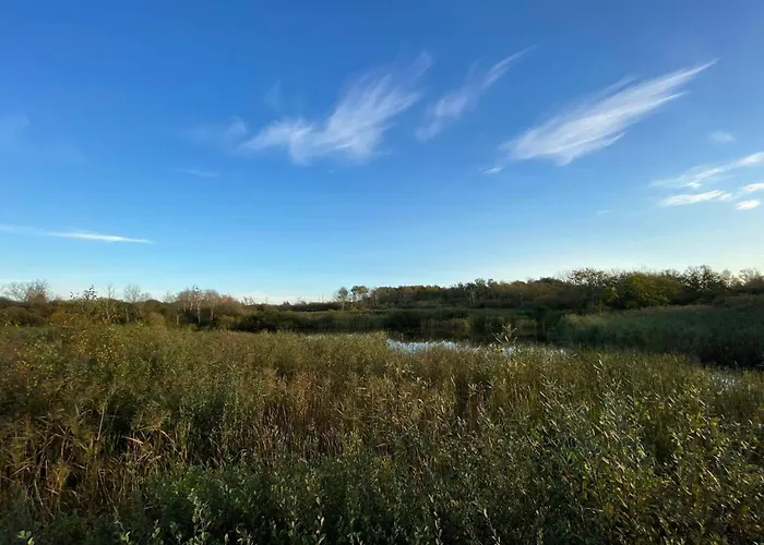 Дом отдыха 6 Person In Bredebro