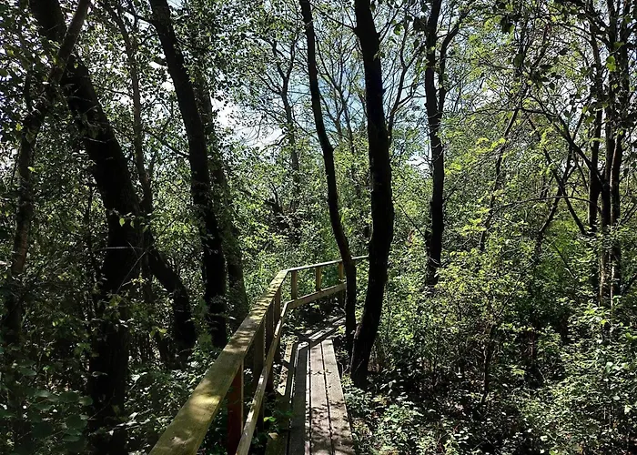 6 Person In Bredebro